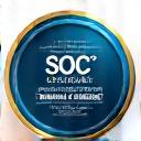 SOC 2 Type 2 Certified Badge
